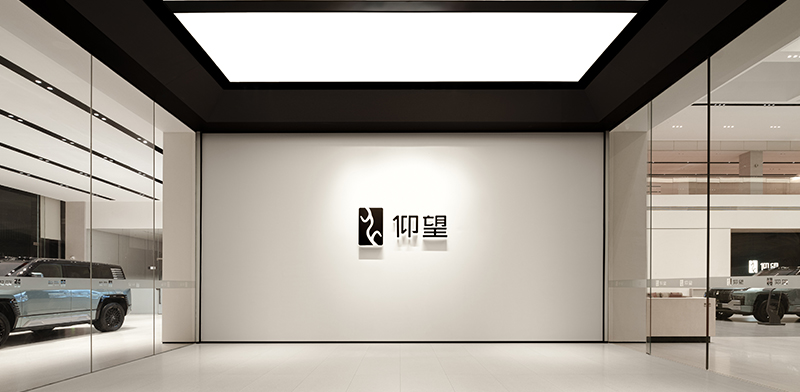 比亚迪·仰望长沙中心店